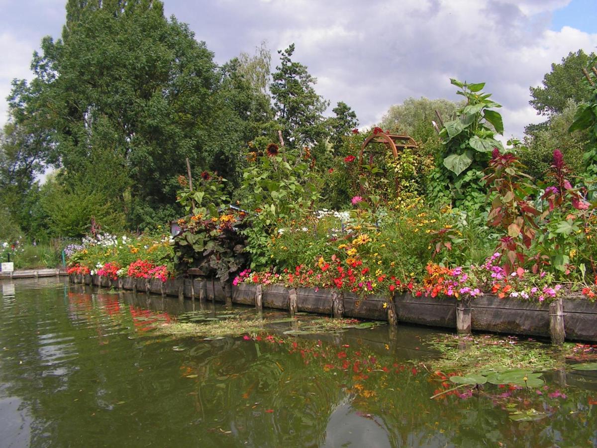Les Hortillonnages_B&B Inn_Centre Ville_Terrasse_Wifi_Netflix Amiens Exterior foto