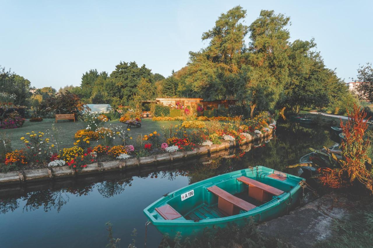 Les Hortillonnages_B&B Inn_Centre Ville_Terrasse_Wifi_Netflix Amiens Exterior foto